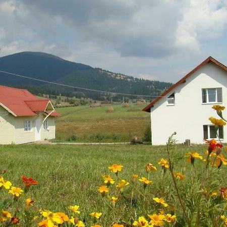 Casa Ana Vatra Dornei Villa Dealu Floreni Екстериор снимка