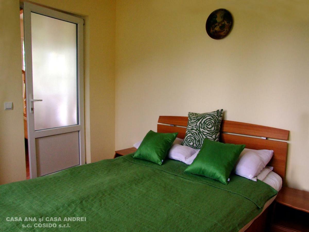 Casa Ana Vatra Dornei Villa Dealu Floreni Екстериор снимка