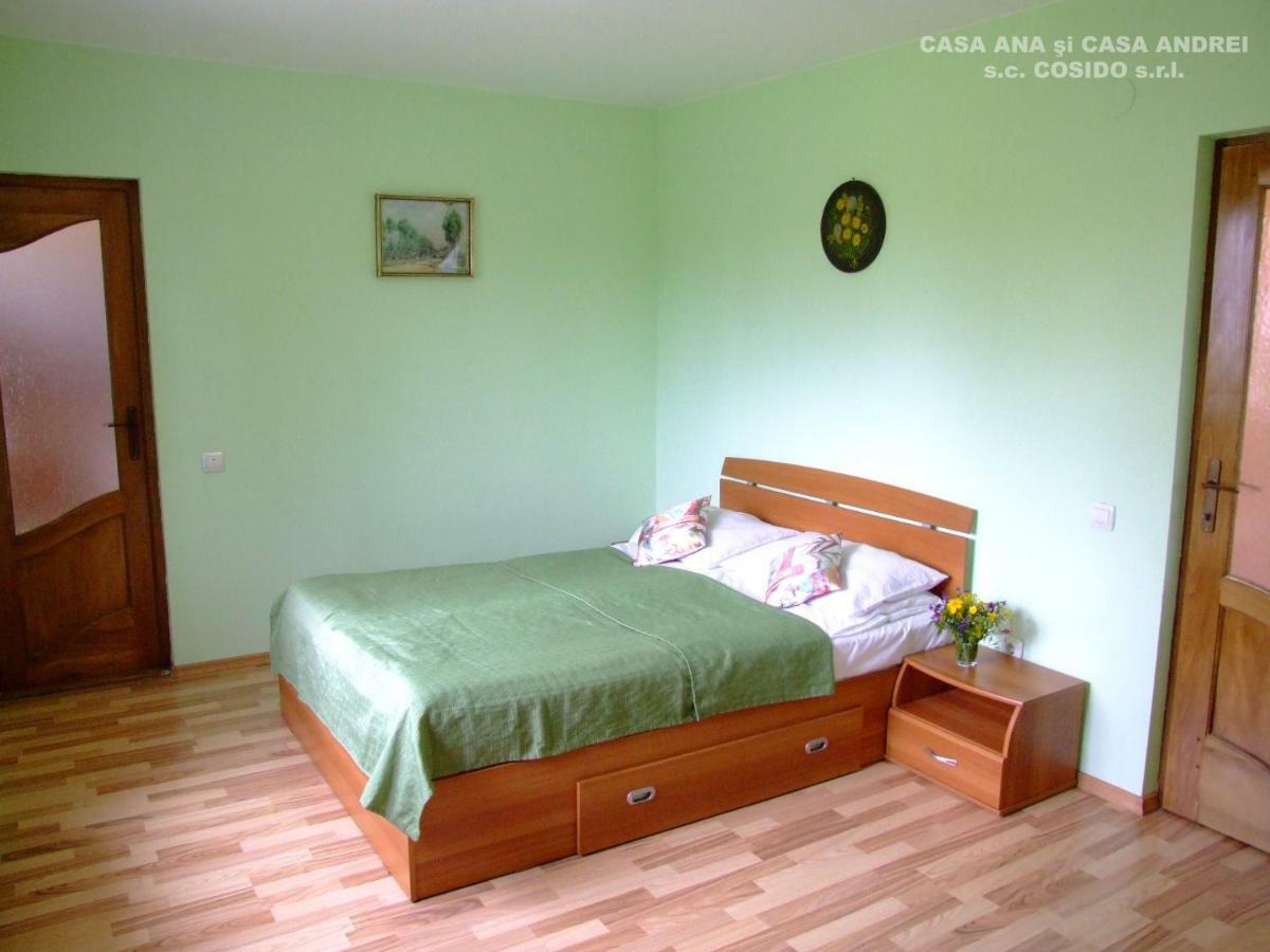 Casa Ana Vatra Dornei Villa Dealu Floreni Екстериор снимка