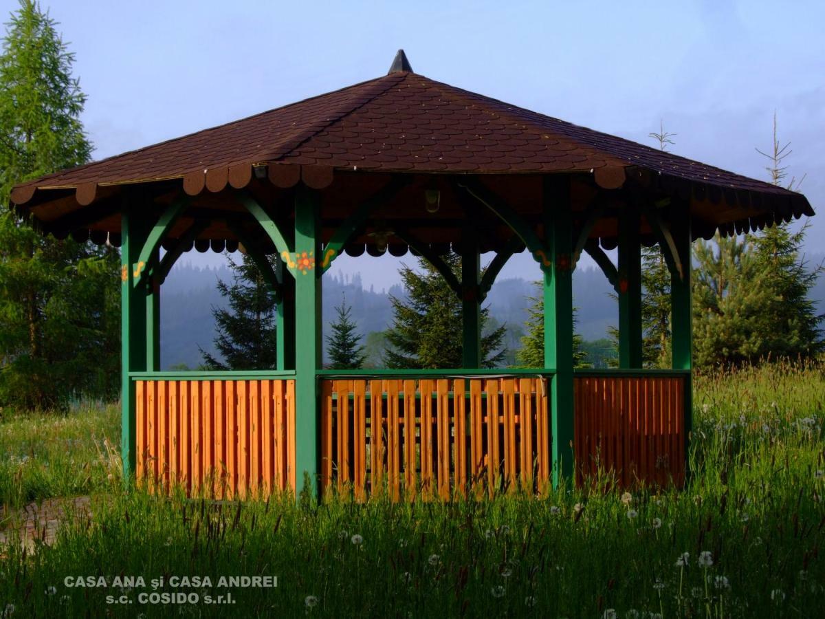 Casa Ana Vatra Dornei Villa Dealu Floreni Екстериор снимка