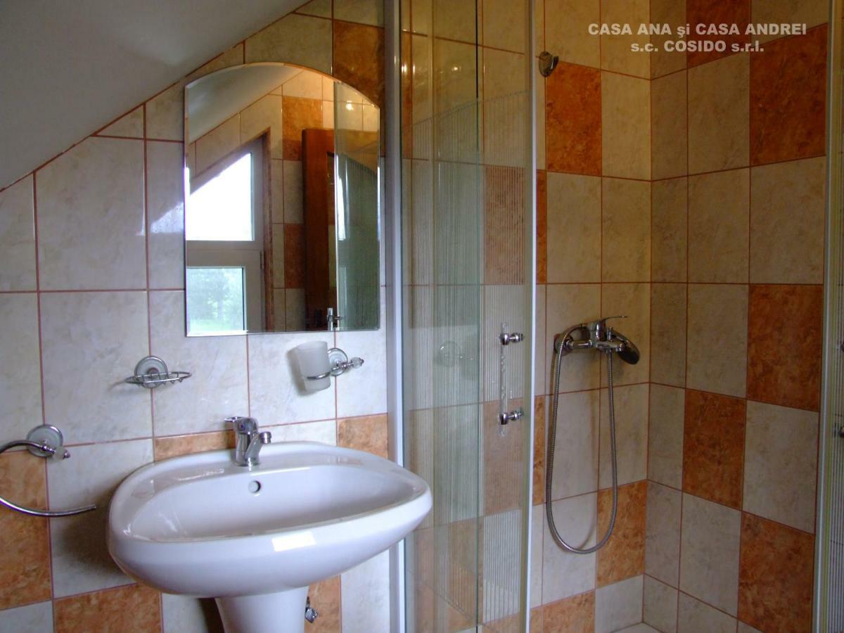 Casa Ana Vatra Dornei Villa Dealu Floreni Екстериор снимка
