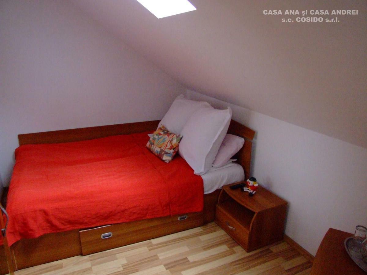 Casa Ana Vatra Dornei Villa Dealu Floreni Екстериор снимка